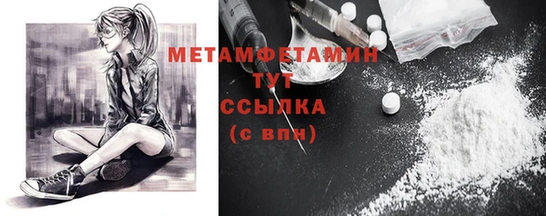 гидра Мегион